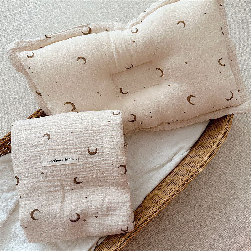 Baby Boys Blanket and Pillow Set