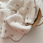 Baby Boys Blanket and Pillow Set
